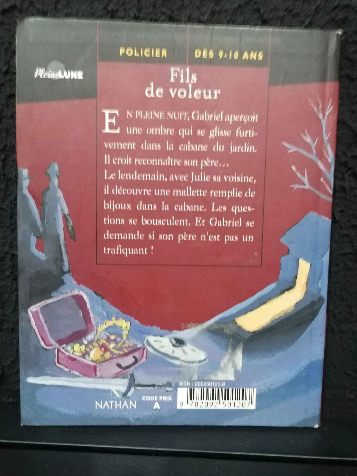 Fils de voleur – photo 2